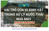 Tầm quan trọng của vi sinh vật trong xử lý nước thải công nghiệp